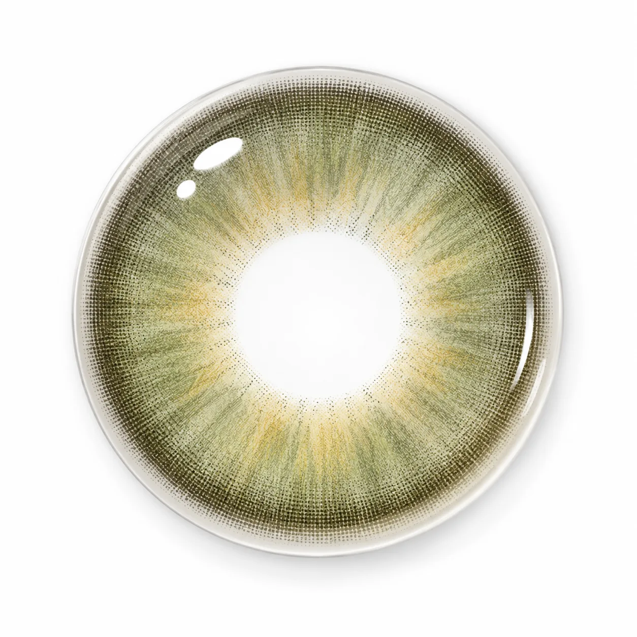 Lensora Studio Island Grey | Half-Yearly Coloured Contacts 3